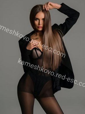 Дина — Олонец